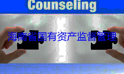 海南省国有有福接受审资产监督管理委员会党委副书记王查调查
